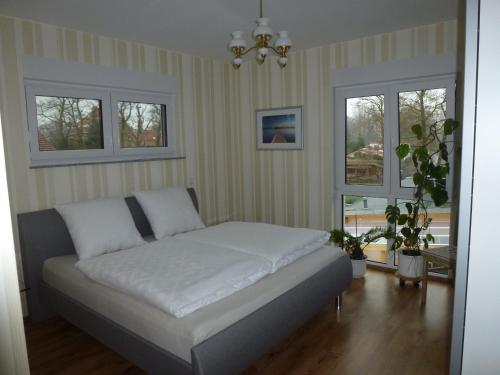 波茨坦费瑞娜阿瑟安德尔乌博利特兹度假屋的配有2扇窗户的客房内的1张床