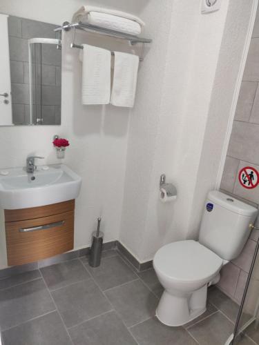 艾福雷诺德ENKI的浴室配有白色卫生间和盥洗盆。