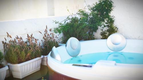 莫诺波利Amalfi Pool Suite - Puglia Mia Apartments的浴缸、卫生间和一些植物