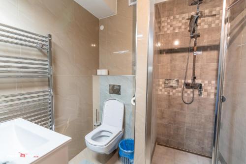 克罗梅日什Hotel Hvězda的一间带卫生间和淋浴的浴室
