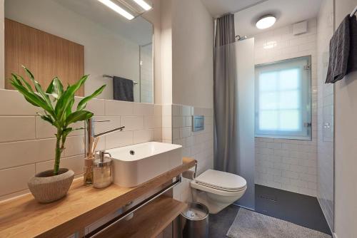 采尔马特Chalet Turbina的一间带水槽、卫生间和镜子的浴室