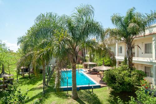 费德拉西翁Hotel y Spa Termas del Este的棕榈树酒店游泳池的形象