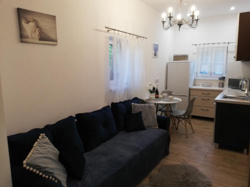 什奇特诺Leśny Apartament II的一间带蓝色沙发的客厅和一间厨房