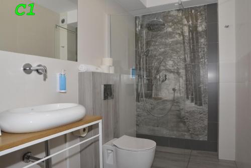 什恰夫尼察Apartamenty Homole的带淋浴、卫生间和盥洗盆的浴室