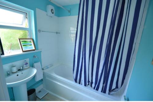朴次茅斯Dean House - Heart of the City, by the historic Dockyard的蓝色的浴室设有淋浴帘和水槽