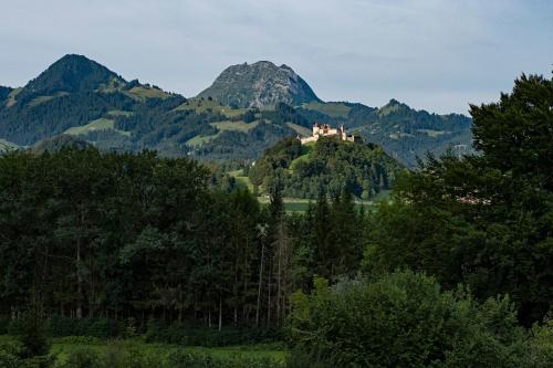 格吕耶尔格吕耶尔尚塔尔太阳公寓 的山顶的城堡