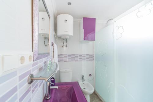 阿瓜杜尔塞Expoholidays - Isla Azores的一间带紫色水槽和卫生间的浴室