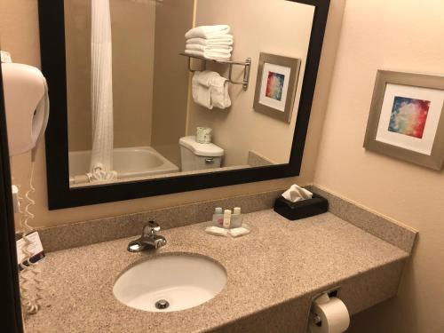 罗克斯普林Clarion Hotel Rock Springs-Green River的一间带水槽、卫生间和镜子的浴室