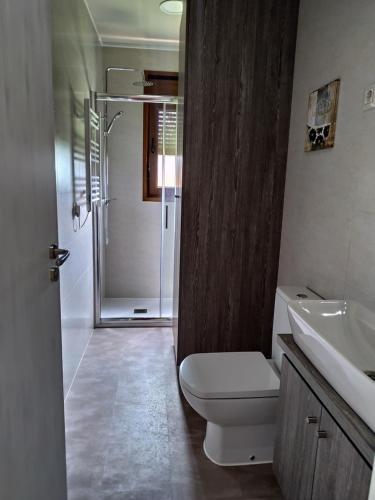 尤比雅克Apartamentos El Prau的带淋浴、卫生间和盥洗盆的浴室