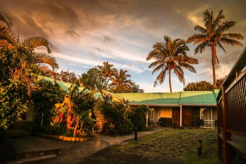 安加罗阿复活节岛生态旅馆 的前面有棕榈树的房子