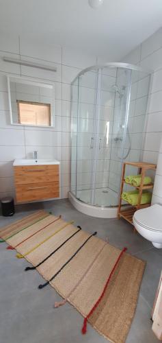 里沃Baltic Beach House的带淋浴、盥洗盆和卫生间的浴室