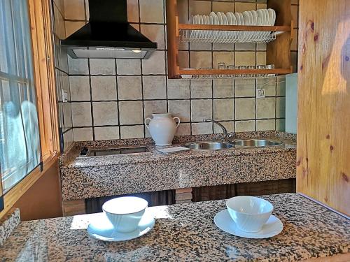 布伦切尔Casa Laguna del Maiz cazorla的厨房柜台设有2个碗和1个水槽