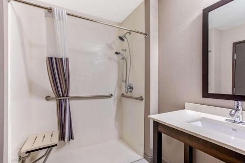 卡尔曼La Quinta by Wyndham Cullman的带淋浴和盥洗盆的浴室