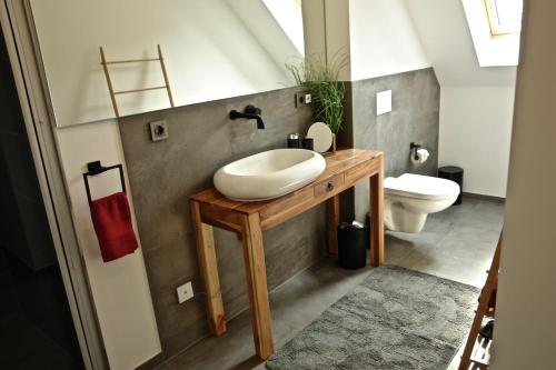 圣布拉辛Dom-i-Ziel Apartments的一间带水槽和卫生间的浴室