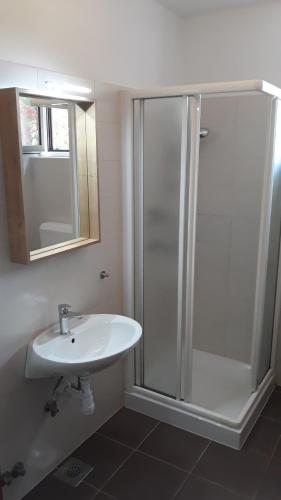 波拉特Villa Kučan的浴室配有白色水槽和淋浴。