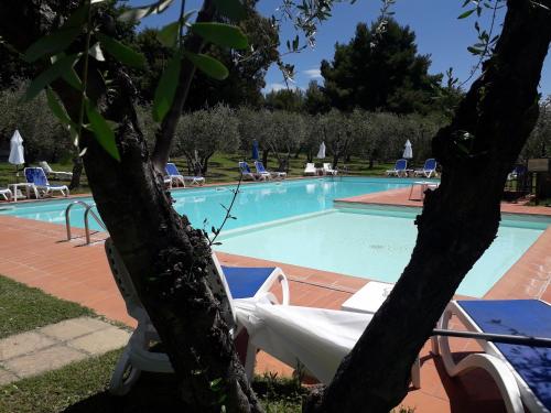 蒙特普齐亚诺Villa Nottola的一个带椅子和树的游泳池