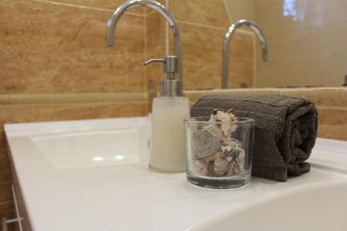 鲍洛通凯赖斯图尔Margaret Apartment的浴室水槽配有1瓶肥皂和毛巾