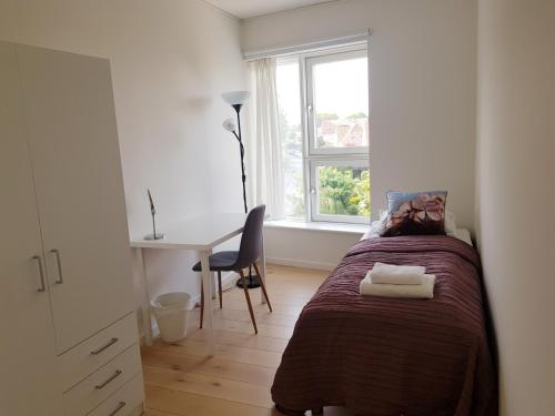 哥本哈根Ana's Bed & Kitchen的一间卧室配有一张床、一张书桌和一个窗户。
