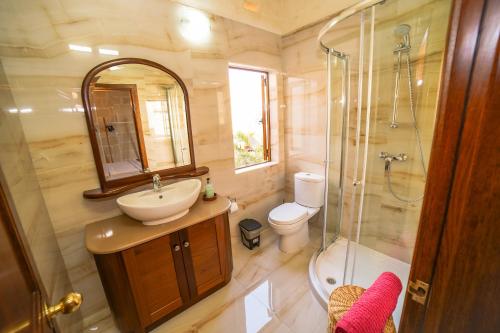 KerċemSant Anton tal-Qabbieza Farmhouse的一间带水槽、淋浴和卫生间的浴室