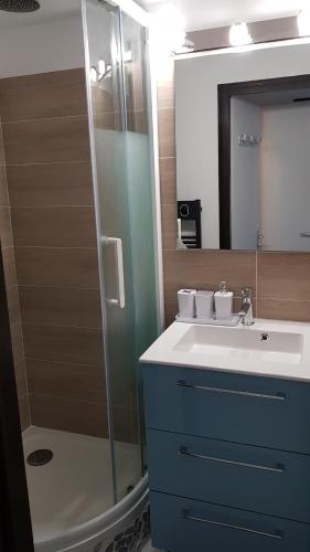 吕兹-圣索沃尔appart luz的一间带水槽和淋浴的浴室