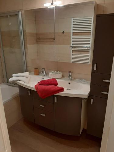 布兰肯贝赫Vakantieappartement Belle Epoque Blankenberge的一间带水槽、淋浴和红色毛巾的浴室