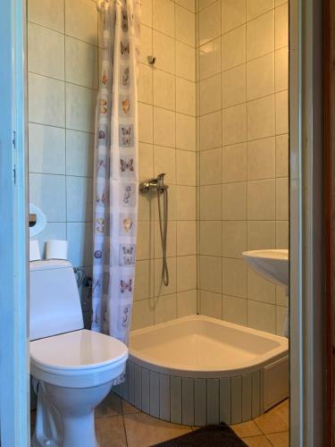 新古提Agroturystyka u Królów的带浴缸、卫生间和淋浴的浴室。