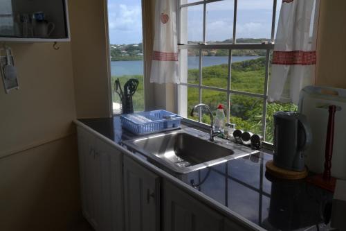 圣乔治The Langdon House的带水槽的厨房和美景窗户