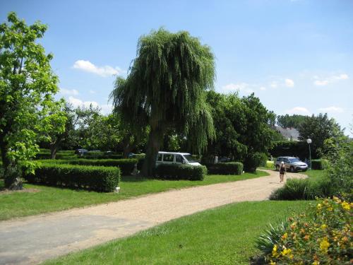 Camping de Marcilly sur Vienne外面的花园