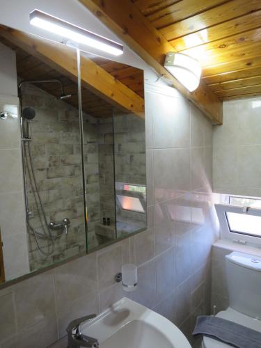 瓦西里科斯波尔图格拉卡斯别墅的带淋浴、卫生间和镜子的浴室