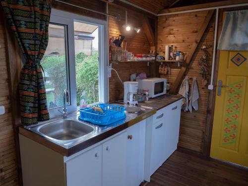 勒穆莱La Roulotte De Tina的一个带水槽和窗户的小厨房