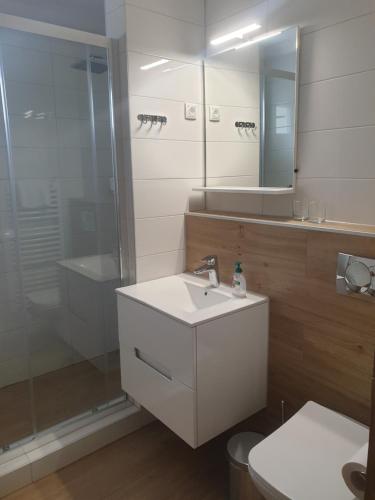 维尔蒂尼克Apartmani Kruna的一间带水槽、淋浴和卫生间的浴室