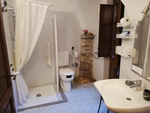 Vezzi PortioLe Petit Chateau的带淋浴、卫生间和盥洗盆的浴室