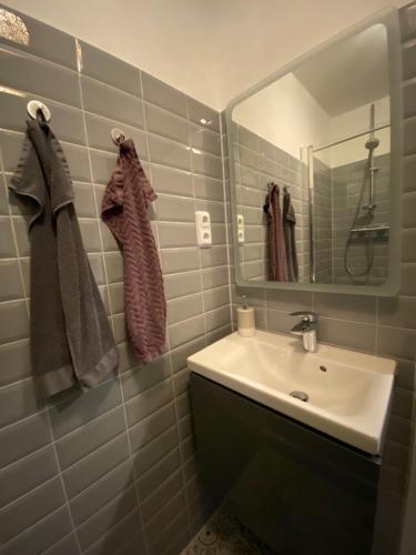 德累斯顿Erholen Garantiert的一间带水槽和镜子的浴室