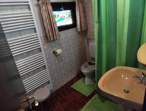 韦耶达Ferienblockhaus Harzidyll的一间带水槽和卫生间的浴室以及一台电视。