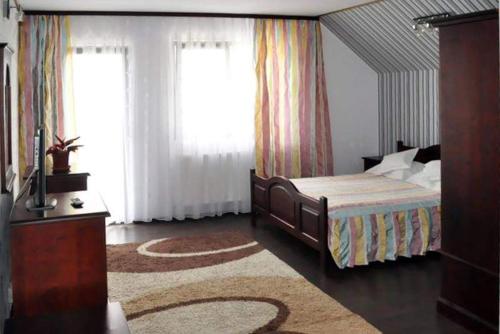 AktenburgPensiunea Filonul de Aur的一间卧室设有床、两个窗户和地毯。