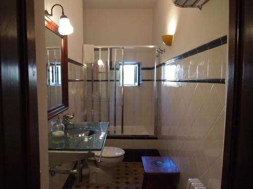 索列尔Turismo de Interior S'Ardeviu的一间带水槽、淋浴和卫生间的浴室