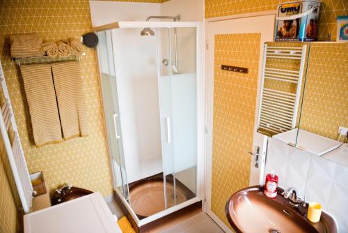 MondrepuisGîte Version 70的一间带水槽和淋浴的浴室