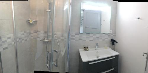 阿朗松LE PONT NEUF 61的带淋浴、盥洗盆和镜子的浴室