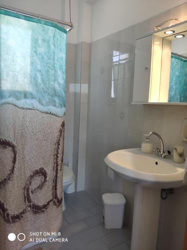 阿尔卡萨Blue Sea Studios的一间带水槽和淋浴帘的浴室