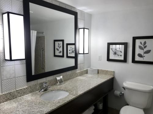 乔治湖Country Inn & Suites by Radisson, Lake George Queensbury, NY的一间带水槽、卫生间和镜子的浴室