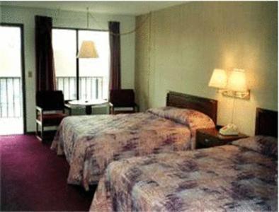 布兰森Twinkle Inn的酒店客房设有两张床和窗户。