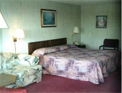 布兰森Twinkle Inn的酒店客房,配有床和沙发