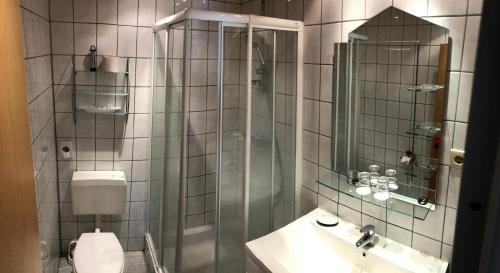 索尔陶Mertens的带淋浴、卫生间和盥洗盆的浴室