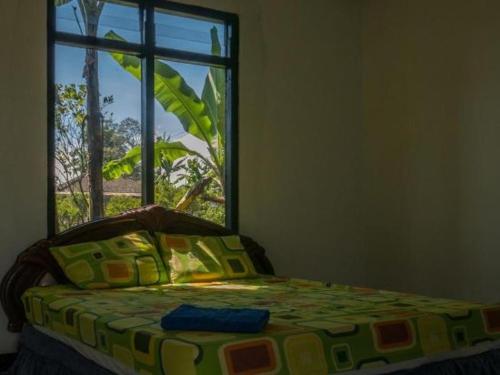 GitgitBukit Kembar Ecotourism的一间卧室配有一张带窗户的床和床罩