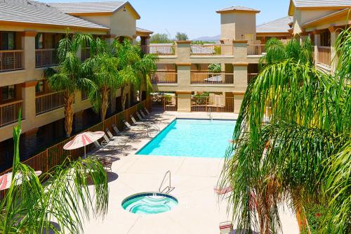 卡萨格兰德Siegel Select Casa Grande的公寓大楼设有游泳池和棕榈树