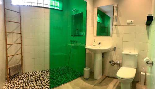 莱昂Apartamento en el Casco Histórico, frente a la Colegiata de San Isidoro,的绿色浴室设有卫生间和水槽