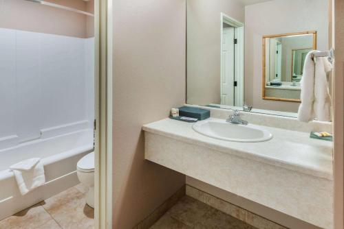 贝尔格莱德贝尔格莱德/博兹曼机场奎因塔套房酒店的一间带水槽、卫生间和镜子的浴室