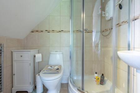 AngersleighThe Chalet Somerset的带淋浴、卫生间和盥洗盆的浴室