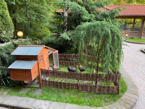 Chernevtsi博曾提酒店的一只小房子,里面放着鸡,坐在草地上