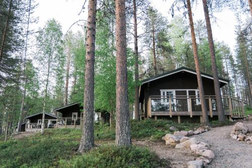 罗瓦涅米LakeLodge Kiehinen & Igloos的树林里的木小屋
